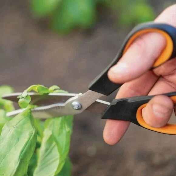 Fiskars Herb & Veggie Shears Soft Grip Stainless Steel Kitchen Garden Scissors - Picture 4 of 6